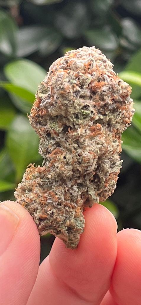 3G AAA Wedding Pie. New Stock! 50/50 Hybrid. Have your pie and smoke it! - SuperSkyf