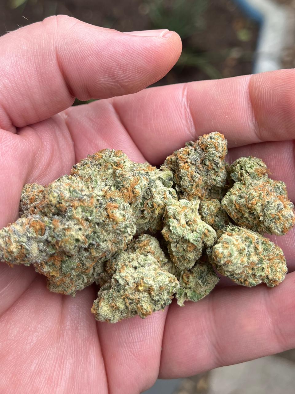 3G AAA Banana Cooler. New Stock! Indica. Like a beach day! - SuperSkyf