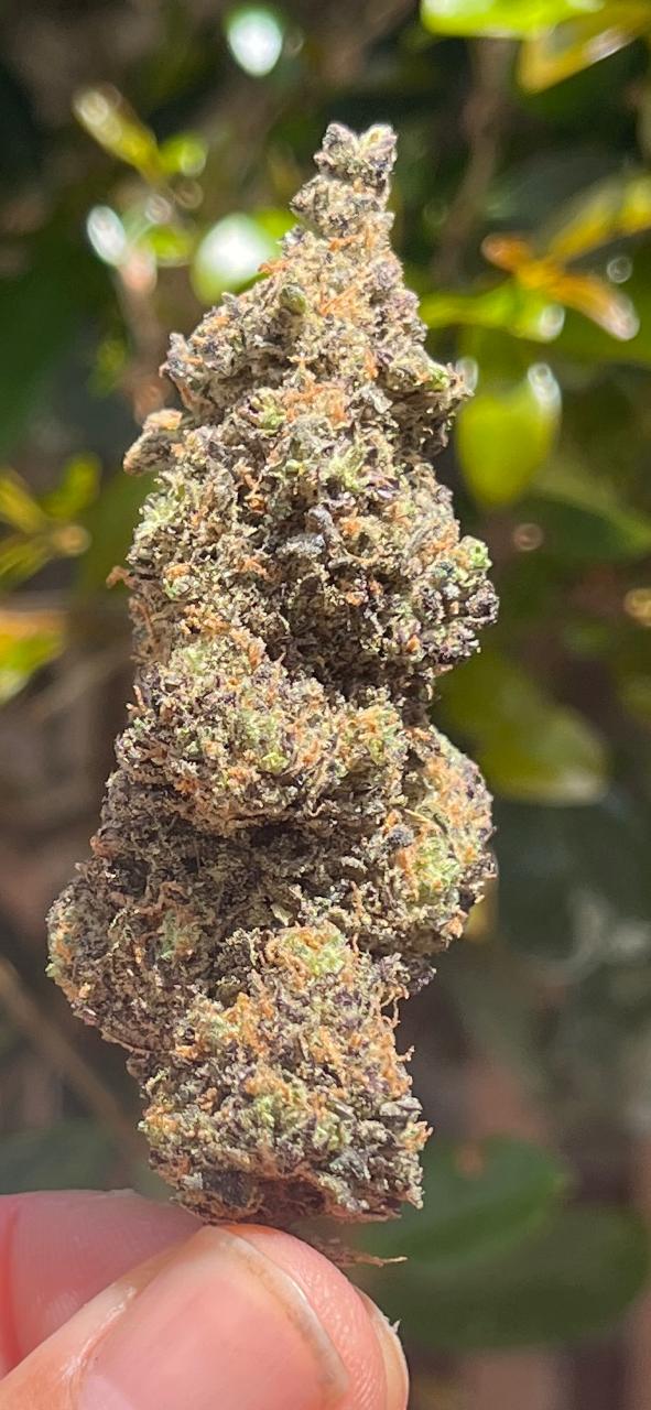 JOINTS 3x3G INDOOR SUPER LEMON HAZE ... CITRUSY AND DELICIOUS! SATIVA 22% THC - SuperSkyf