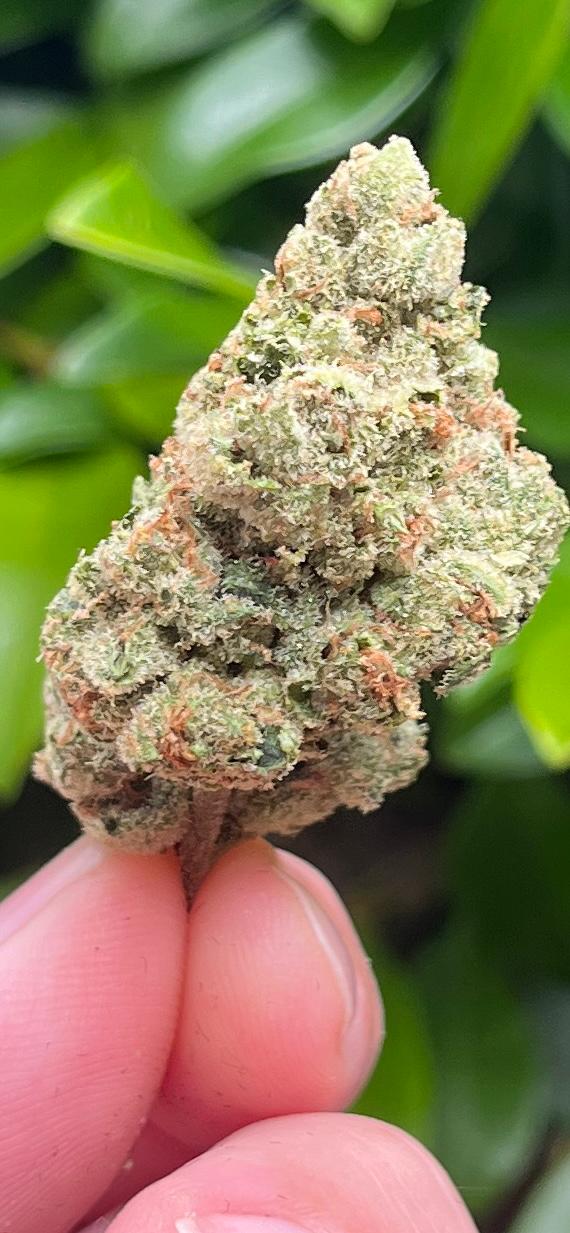 3x1G Joints ... AAA DUCT TAPE - INDICA HYBRID - THC 25%CBG 1% - SuperSkyf