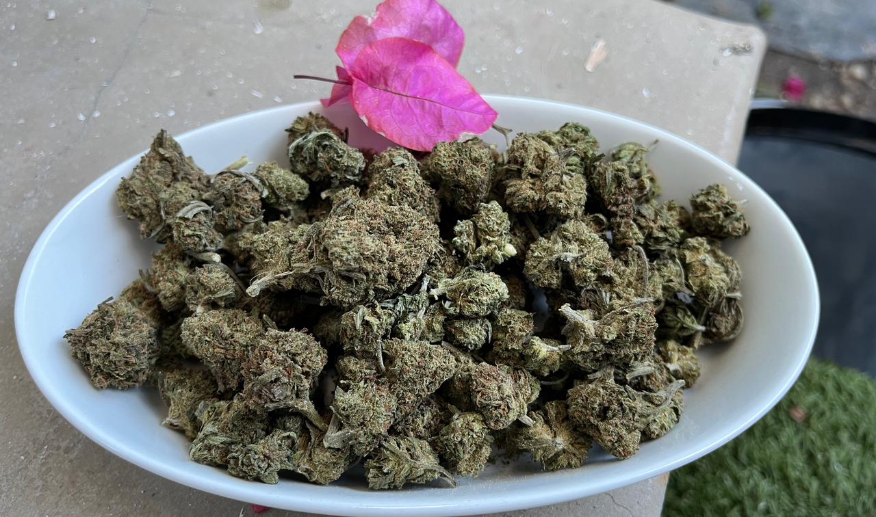 Super Cheese! Our favourite Smoke at the best price! - SuperSkyf