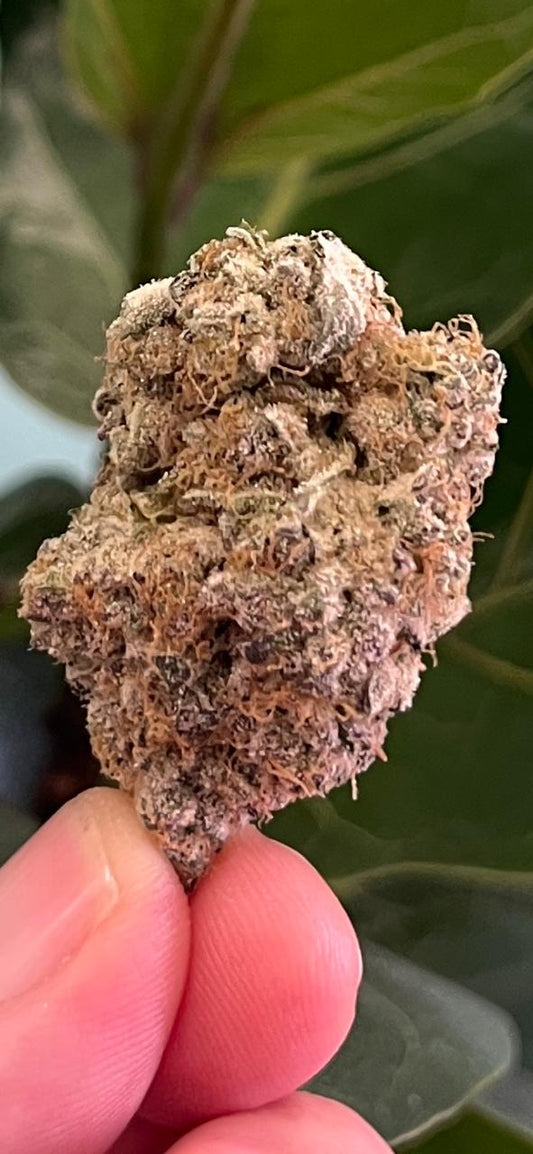 3G. NEW STRAIN !!! YUM YUM. INDOOR - HYBRID - SUPER YUMMY AND RELAXING! - SuperSkyf