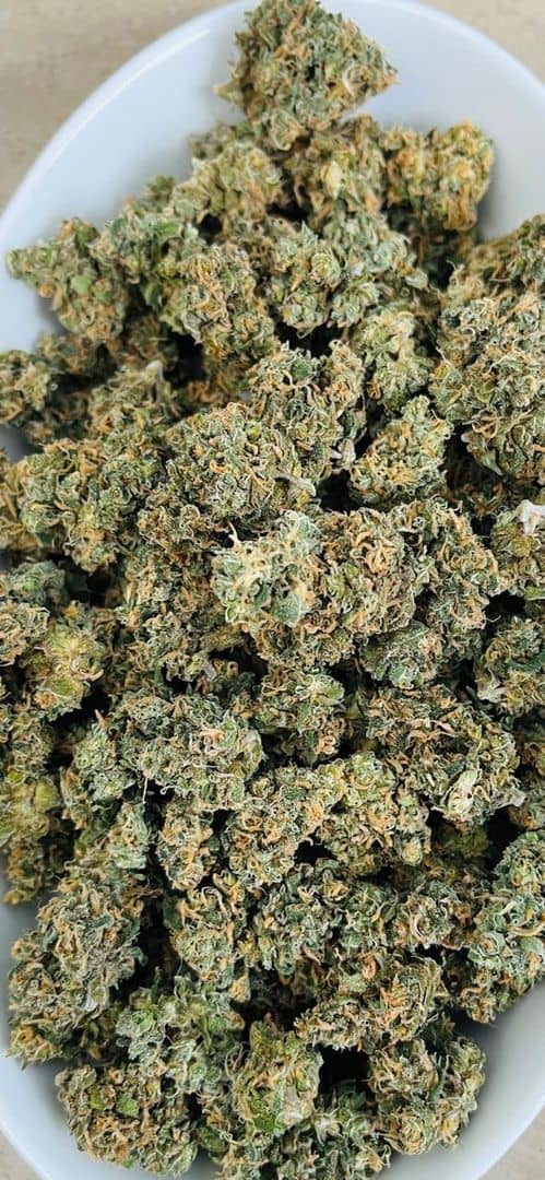 New...AAA Orange Kush, (Greendoor) Indica THC 18% - SuperSkyf