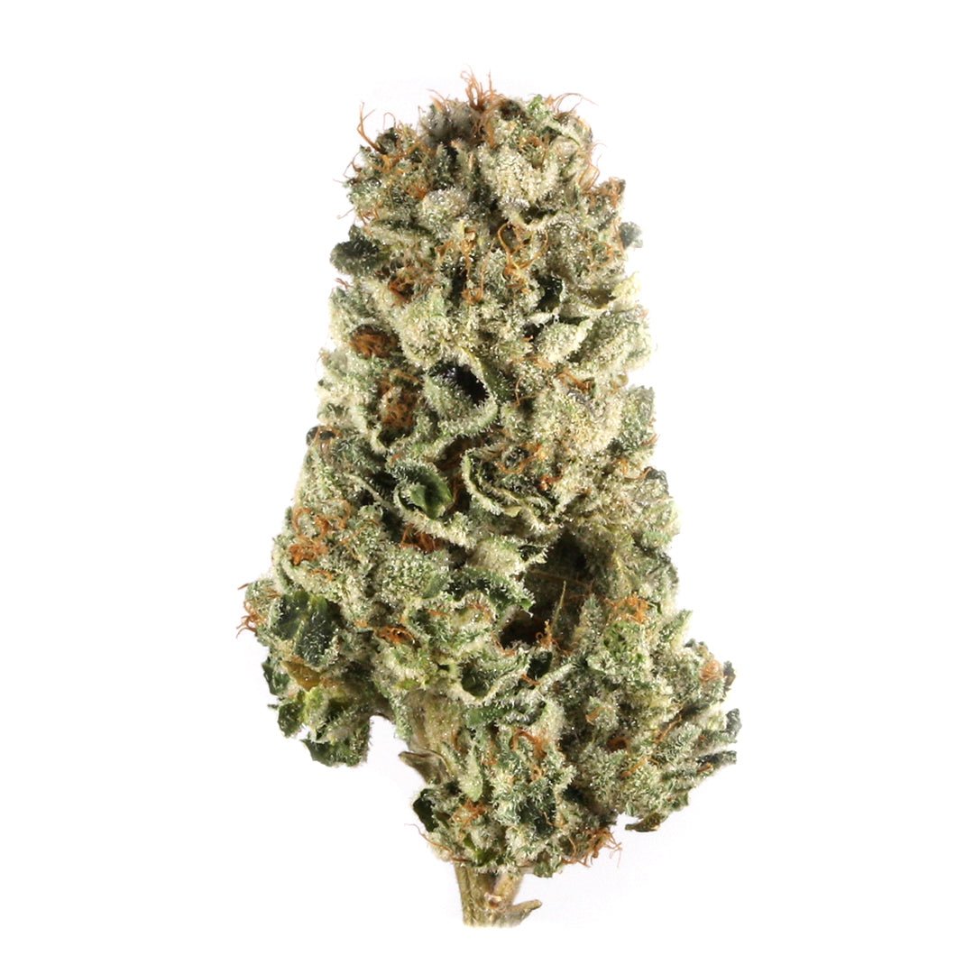 INDOOR Blue Dream POPS (Hybrid Sativa Dominant) THC THC 16%CBD 0% - SuperSkyf