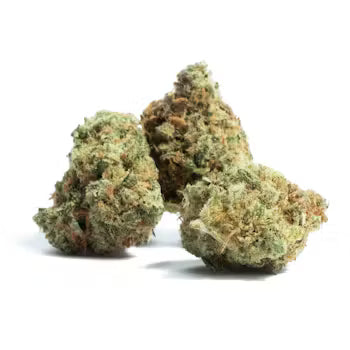 New Strain Premium AAA SODA - SATIVA THC 24% THC