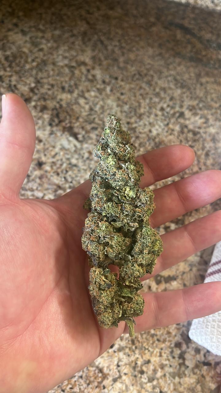 x3G/5G AAA INDOOR BLACK TUNA. PACKS A PUNCH ! INDICA/HYBRID THC 27% LEGENDARY BRITISH COLOMBIAN STRAIN. EXCLUSIVE TO SUPER SKYF! - SuperSkyf